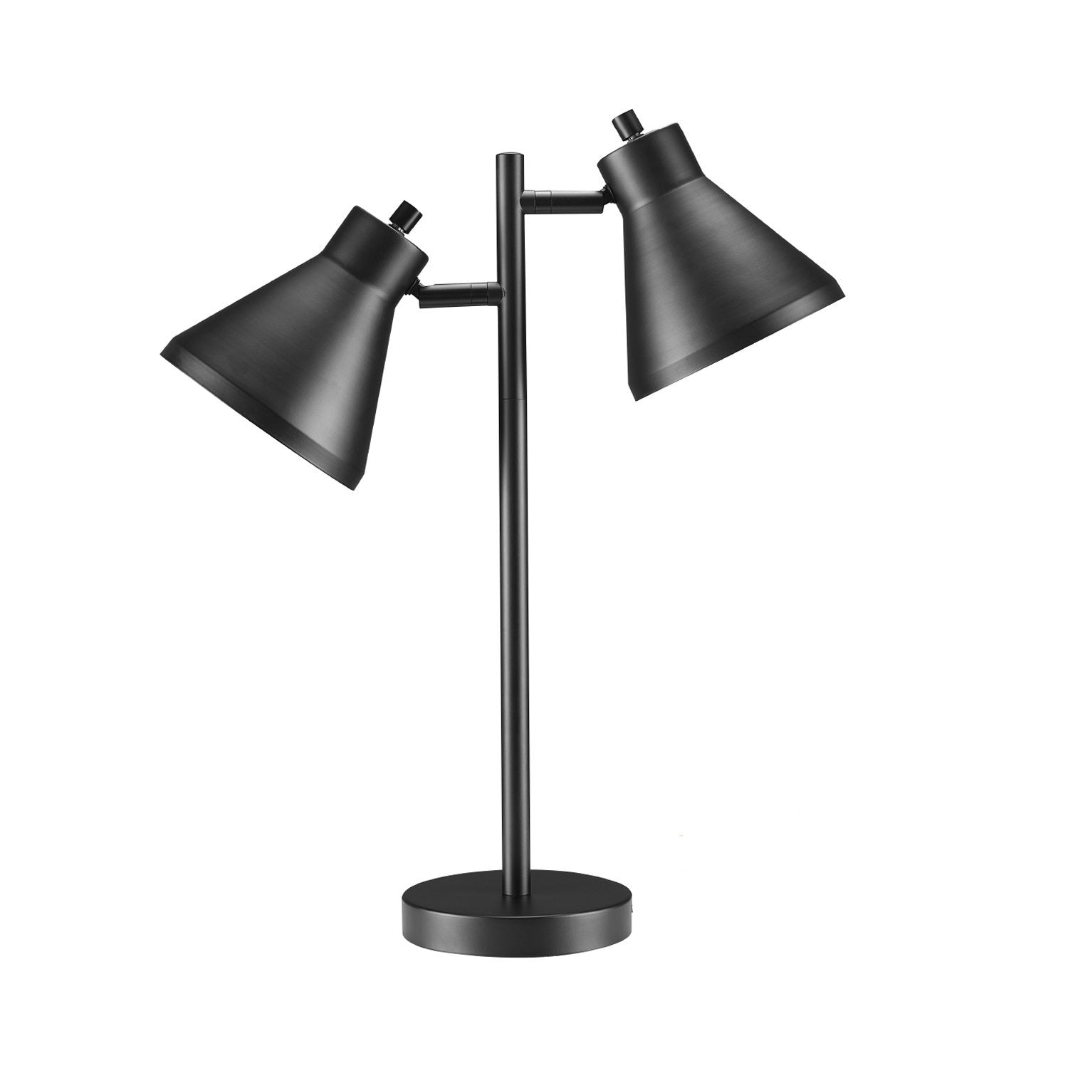 Derek 20 2 Light Desk Lamp