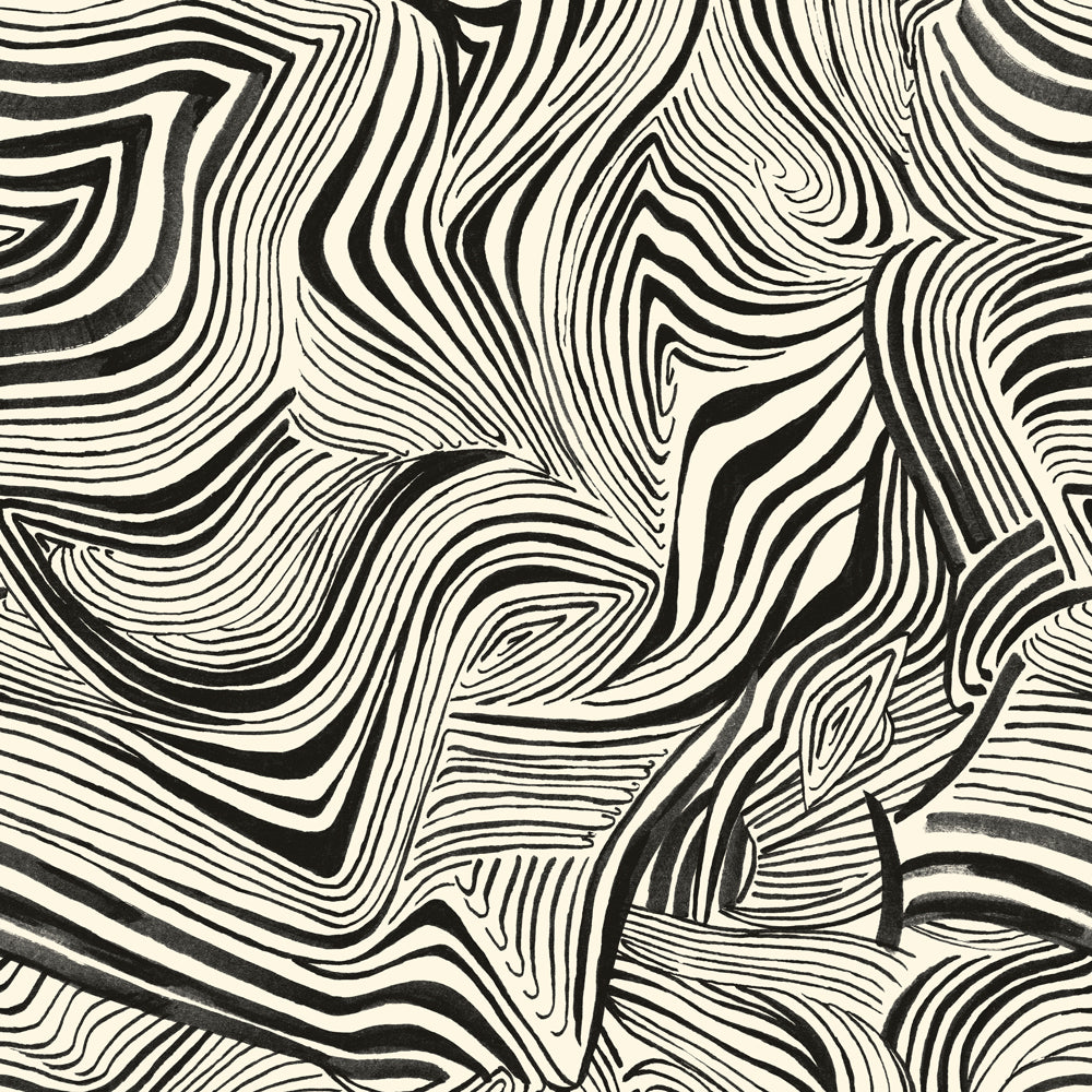 Zebra pattern HD wallpapers  Pxfuel